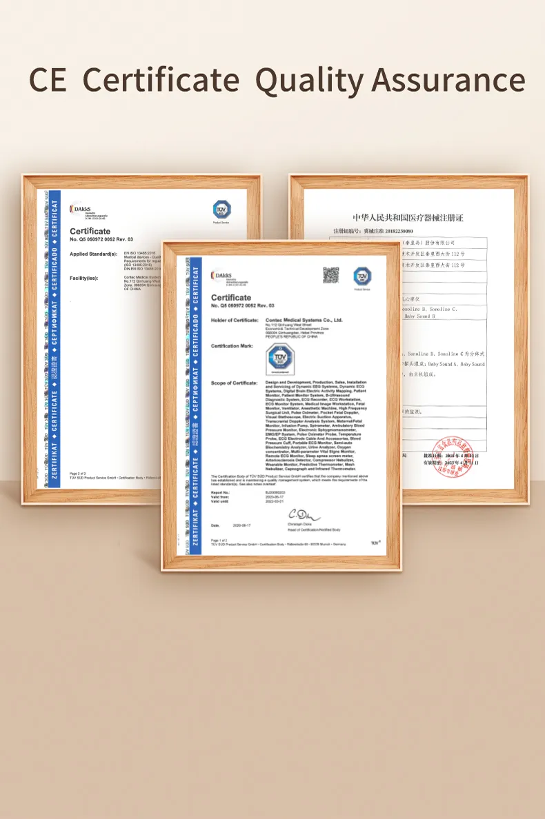 Fetal Doppler Display