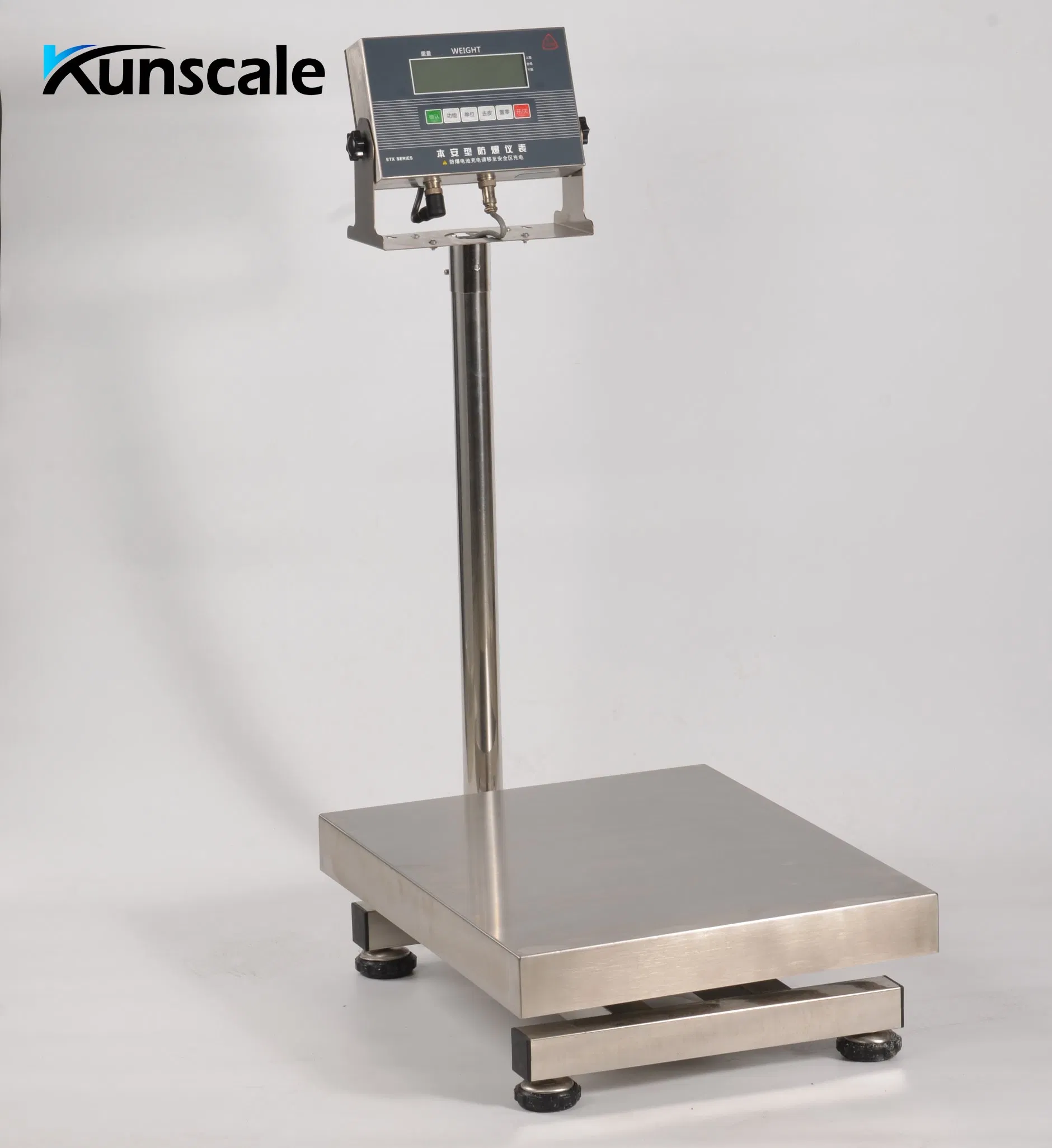 Explosion-Proof Platform Scale Electronic Digital Weighing Platform Bench Scales Weight Machine 100kg