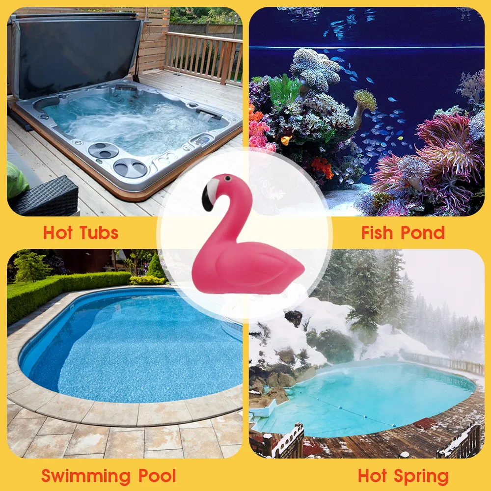 Pool Thermometer View 3