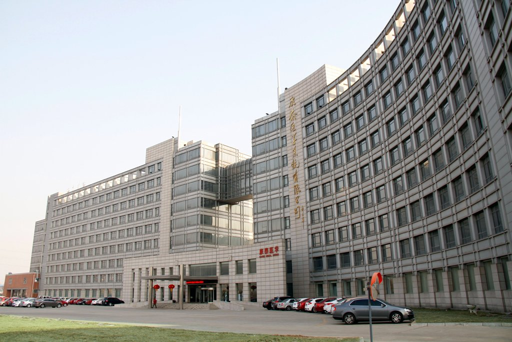 Advanced Color Display Baby Fetal Doppler for Expecting Mothers