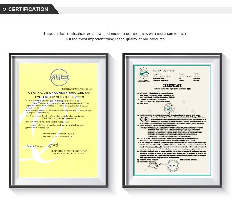 Medical Adjustable Oxygen Concentrator