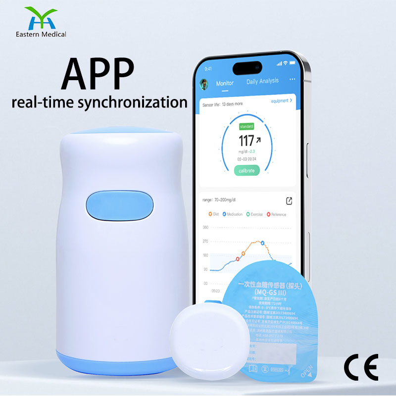 CE/Cgm System Bluetooth Real-Time Monitoring