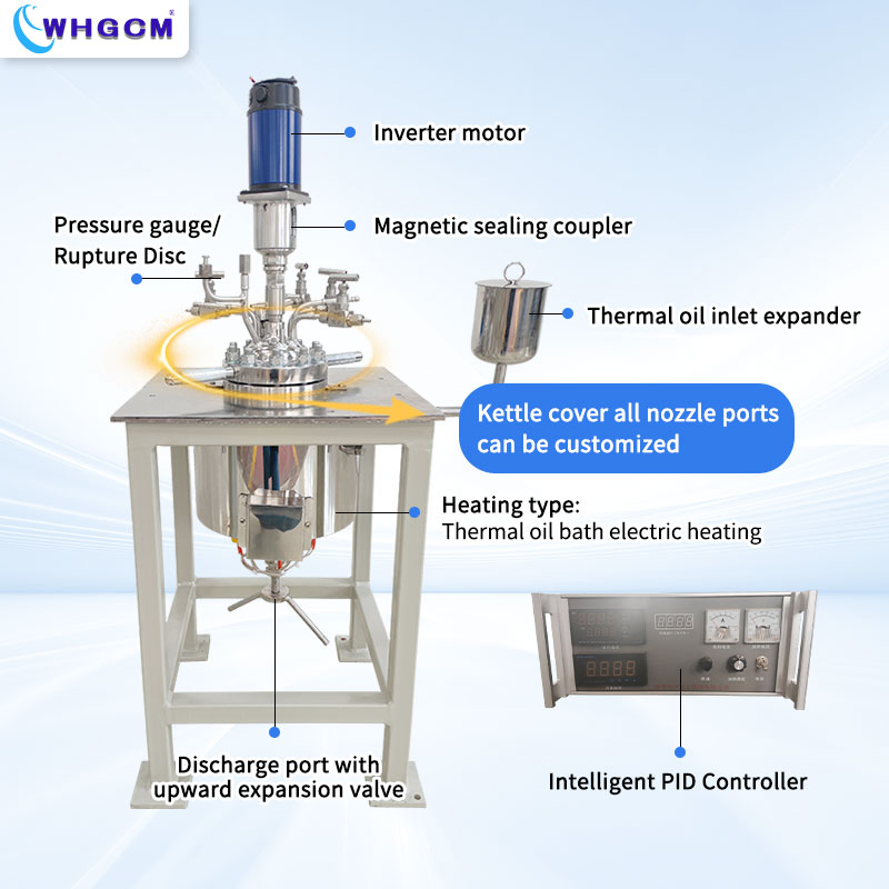 Customized 1L Stainless Steel Autoclave for High Pressure Lab Use