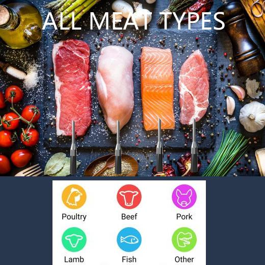 Real Wireless Waterproof IP67 Household Oven BBQ Grill Cooking Kitchen Smart APP Bluetooth Meat Food Digital Thermometer with Chargeable Battery