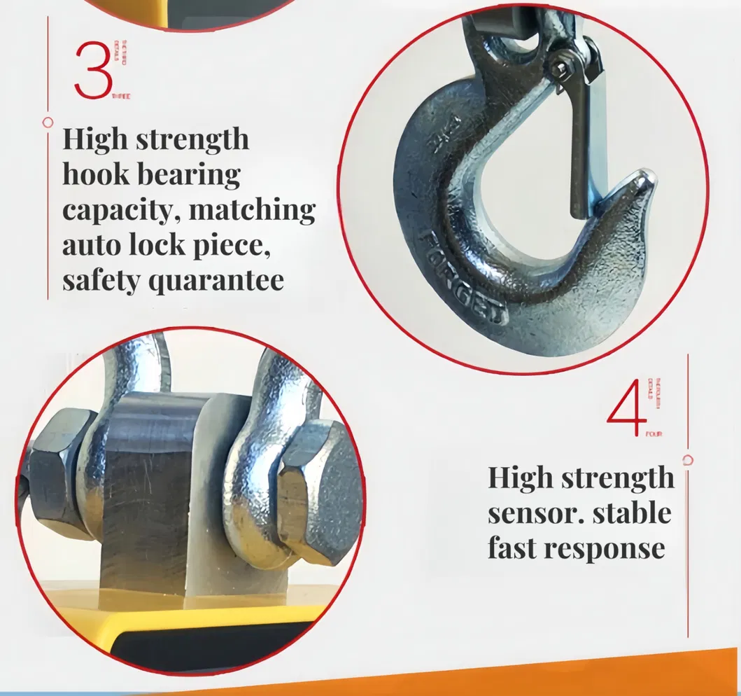 Crane Scale Detail 3