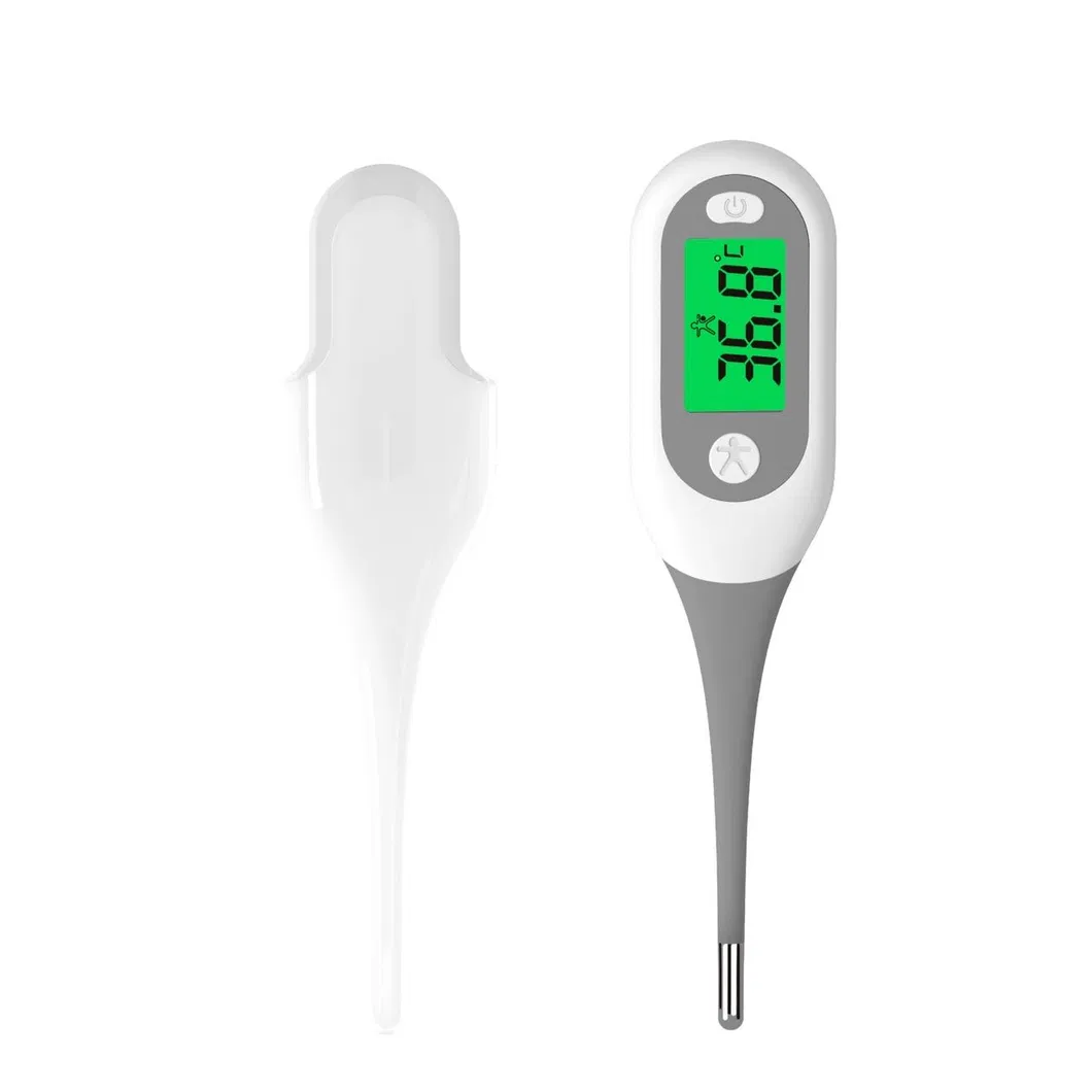 Digital Thermometer View 1