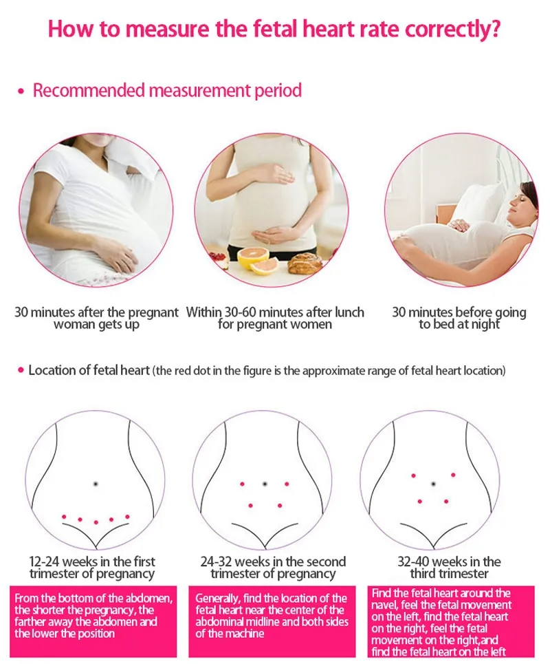Fetal Doppler Image 6