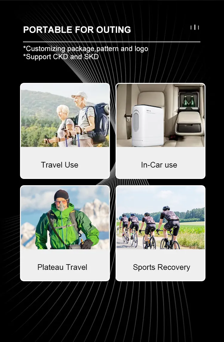 Portable Oxygen System