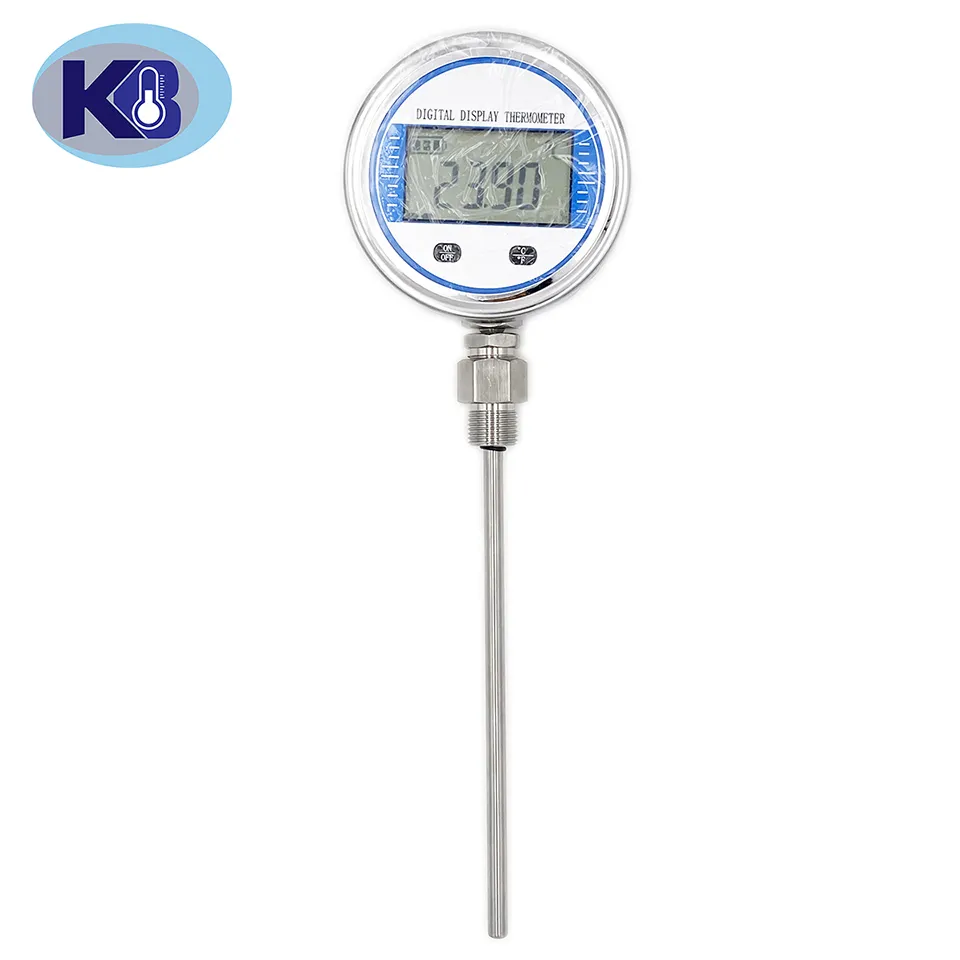 Digital Display Thermometer