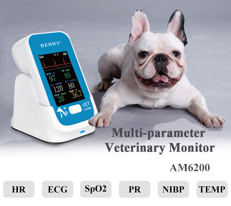 Am6200 Mini Veterinary Monitor Vet Blood Pressure, Blood Oxygen, ECG, Temperature for Pet Monitor