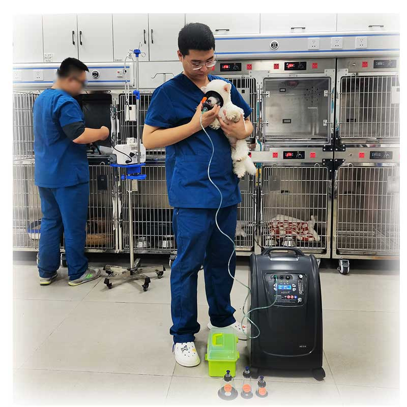 Aerti 5L Vet Oxygen Therapy Machine Concentrator for Pet Hospital Veterinary Clinic Equipment