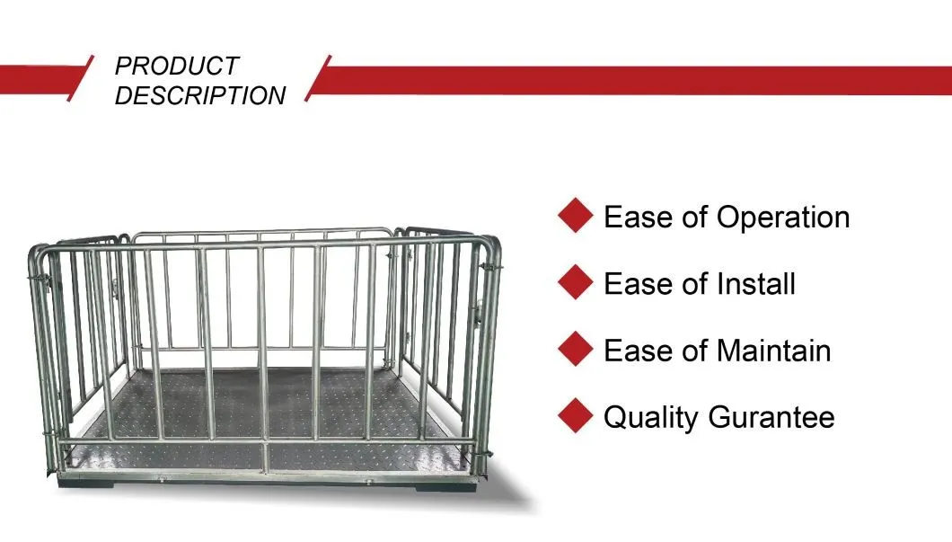 Digital Weighing Scales