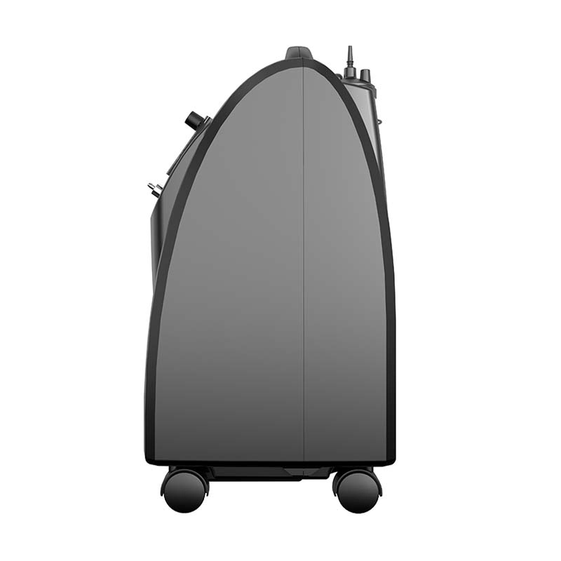 Hospital Medical Equipment Nebulizer Homecare Stationary Oxygen Concentrator with Flow 10lpm