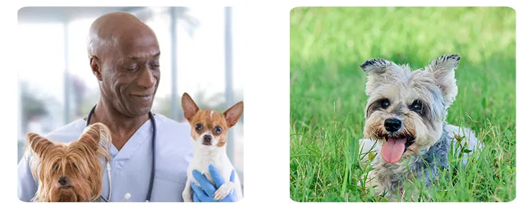 Application Scenarios