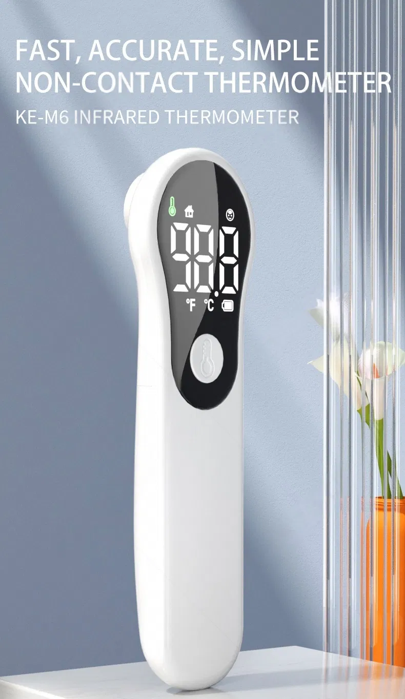Digital Thermometer Presentation