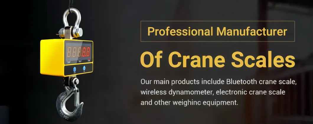Digital Crane Scale Overview