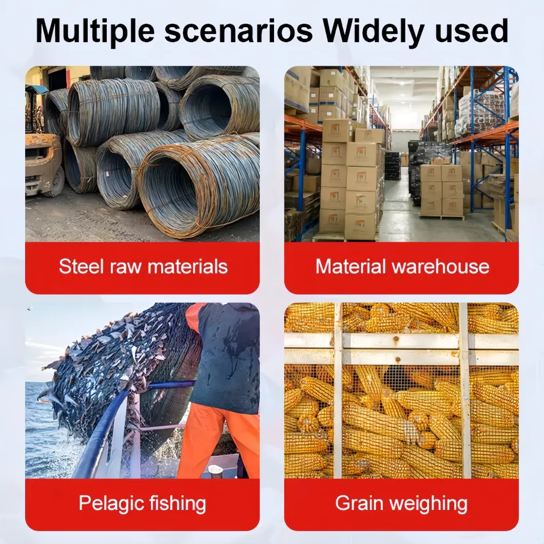 Crane Scale Detail 5