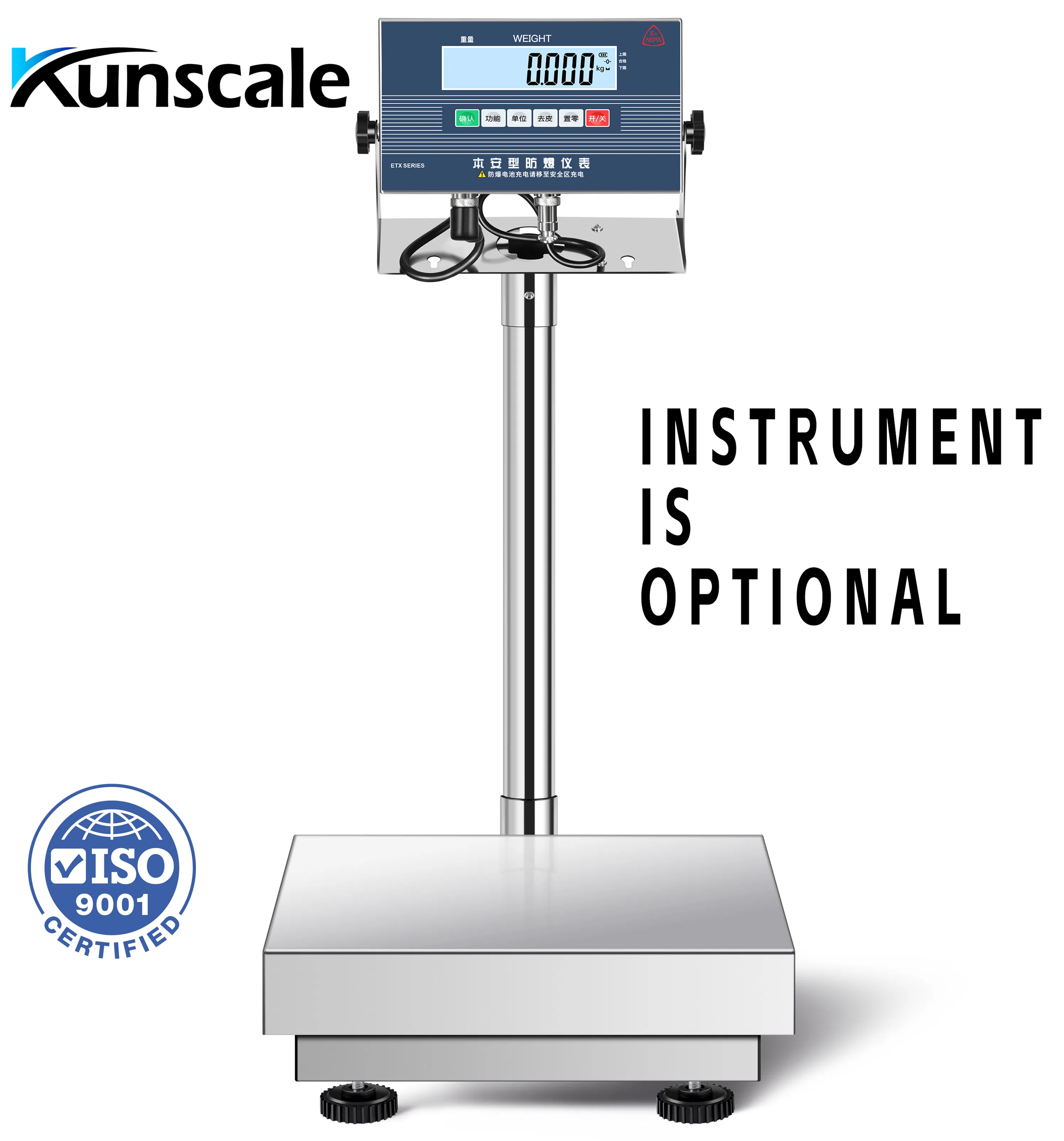 Explosion-Proof Platform Scale Electronic Digital Weighing Platform Bench Scales Weight Machine 100kg