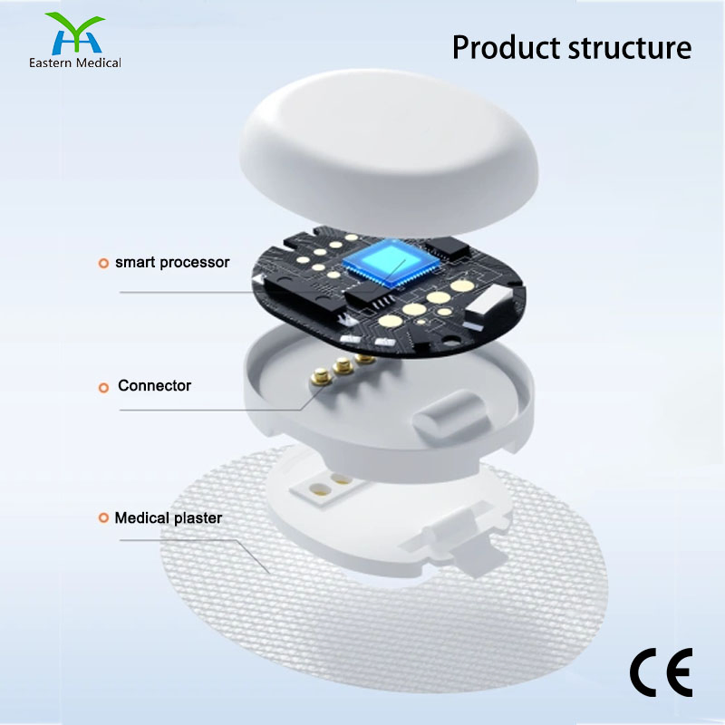 CE/Cgm System Bluetooth Real-Time Monitoring