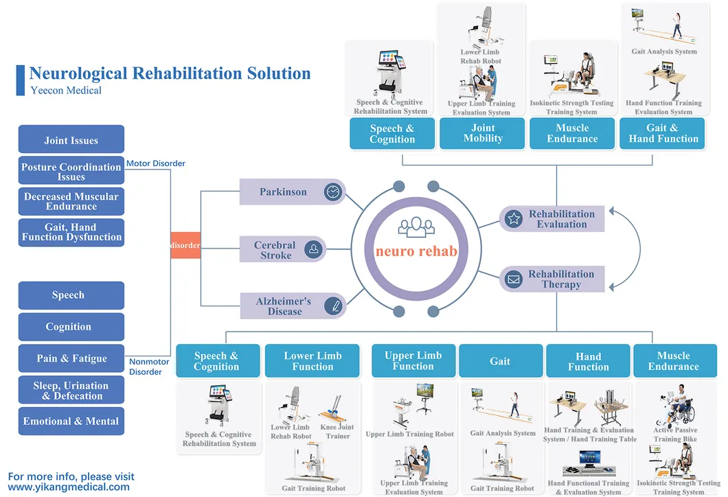 Rehabilitation Overview