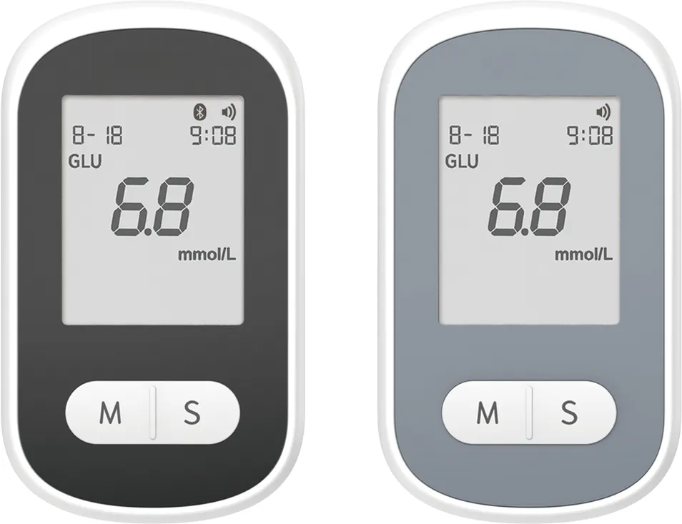 Glucose Monitoring System