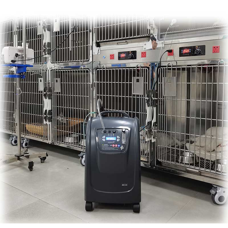 Aerti 5L Vet Oxygen Therapy Machine Concentrator for Pet Hospital Veterinary Clinic Equipment