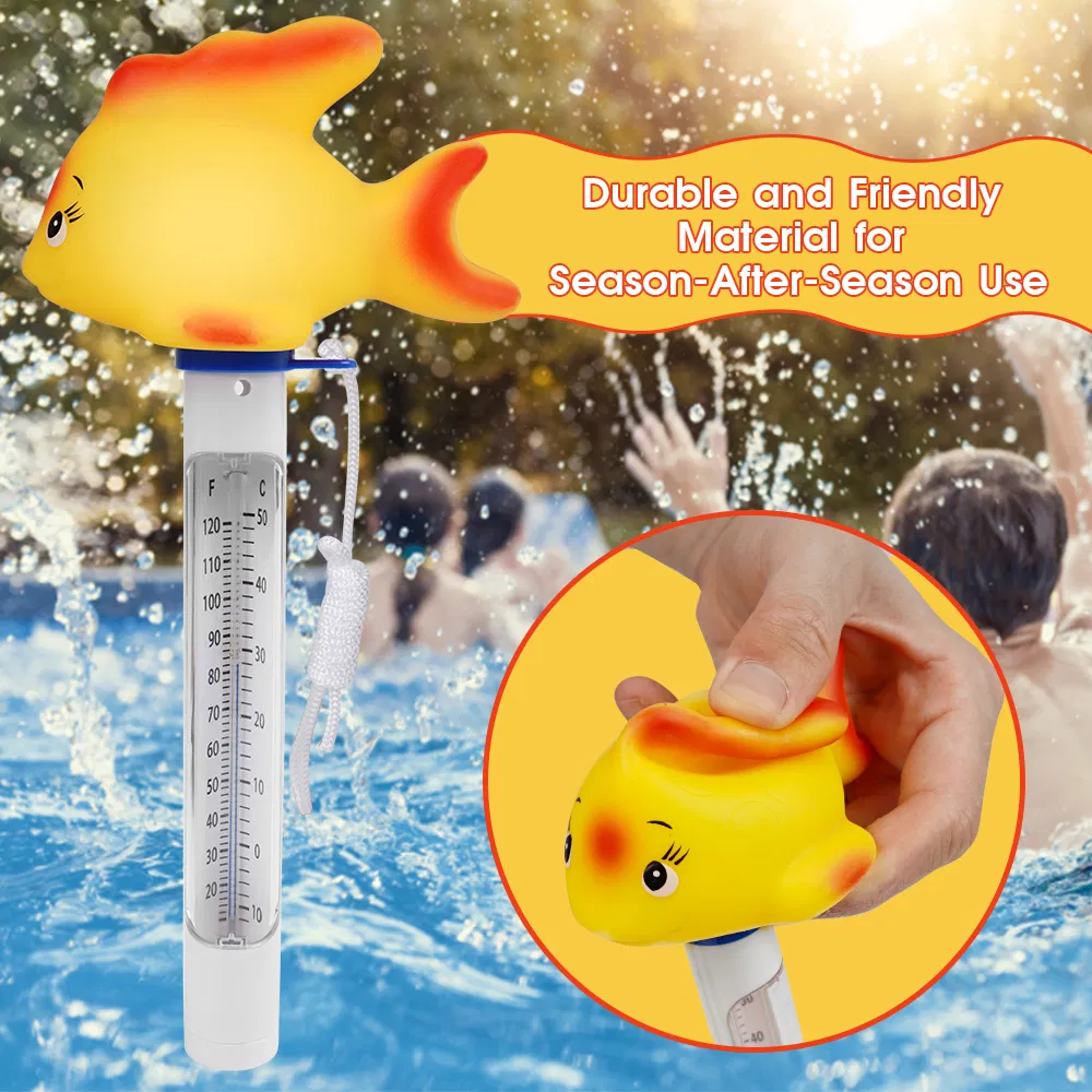 Pool Thermometer View 2
