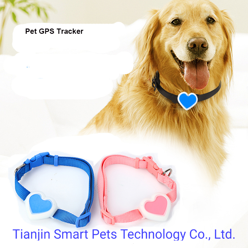 Smart Pet Finder GPS Pet Dog Fitness Fence Tracker