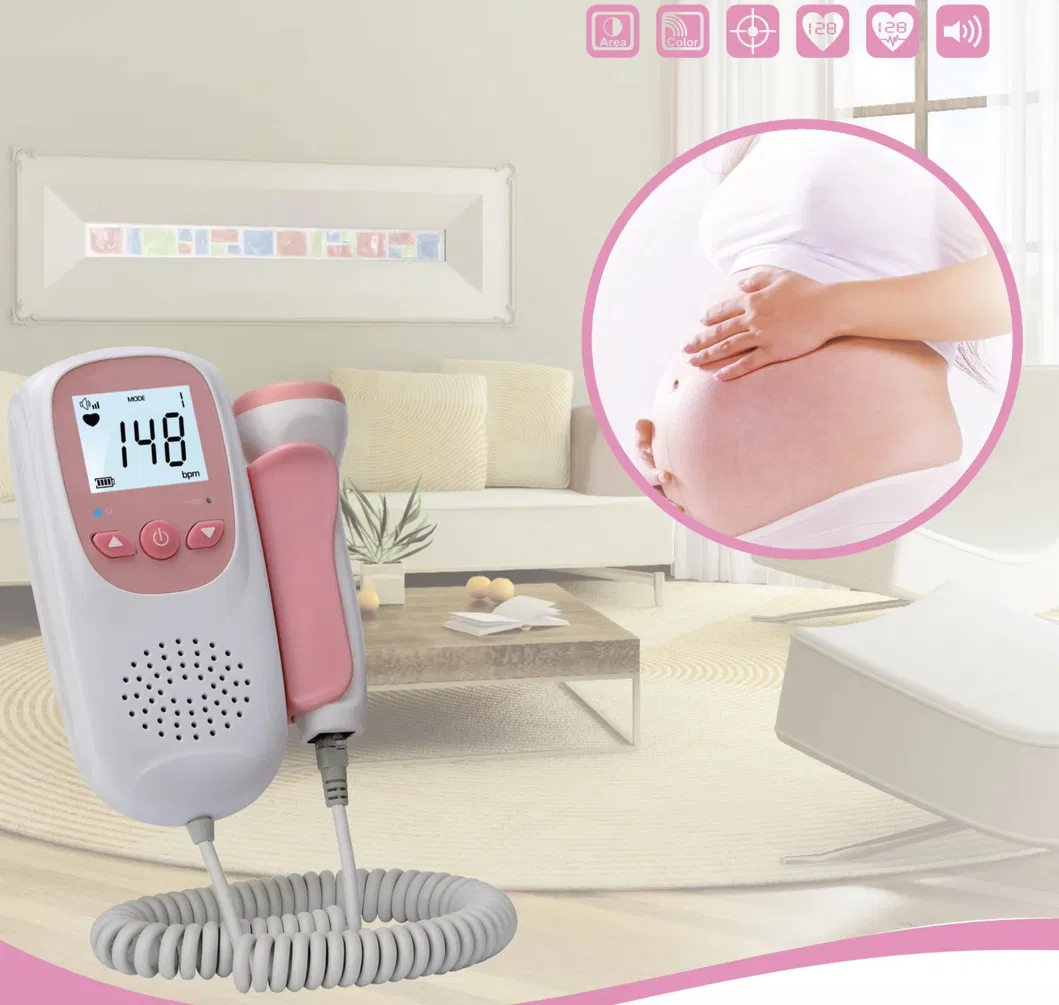 Fetal Doppler Detail 1