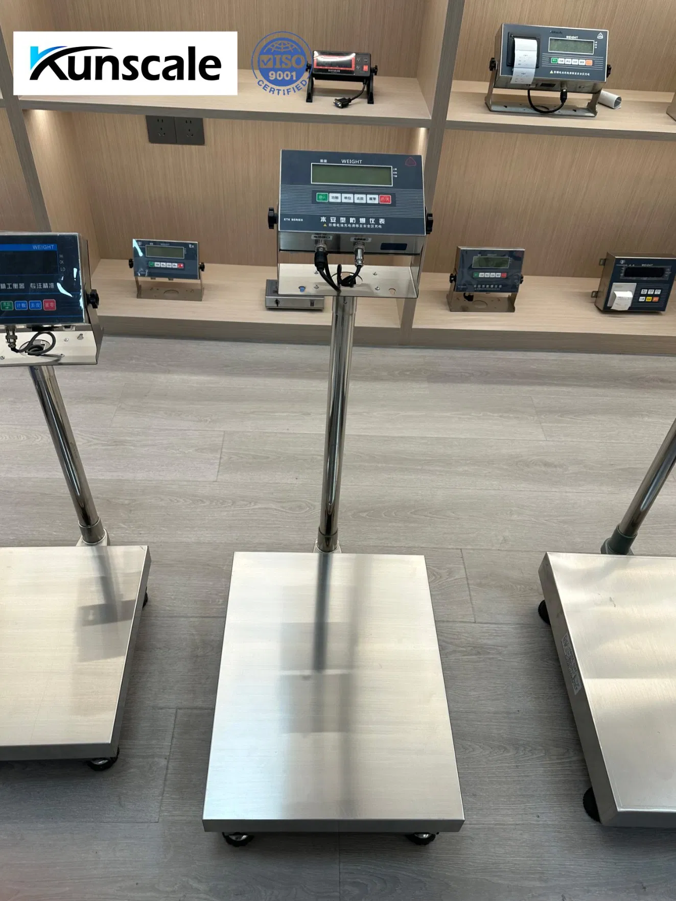 Explosion-Proof Platform Scale Electronic Digital Weighing Platform Bench Scales Weight Machine 100kg