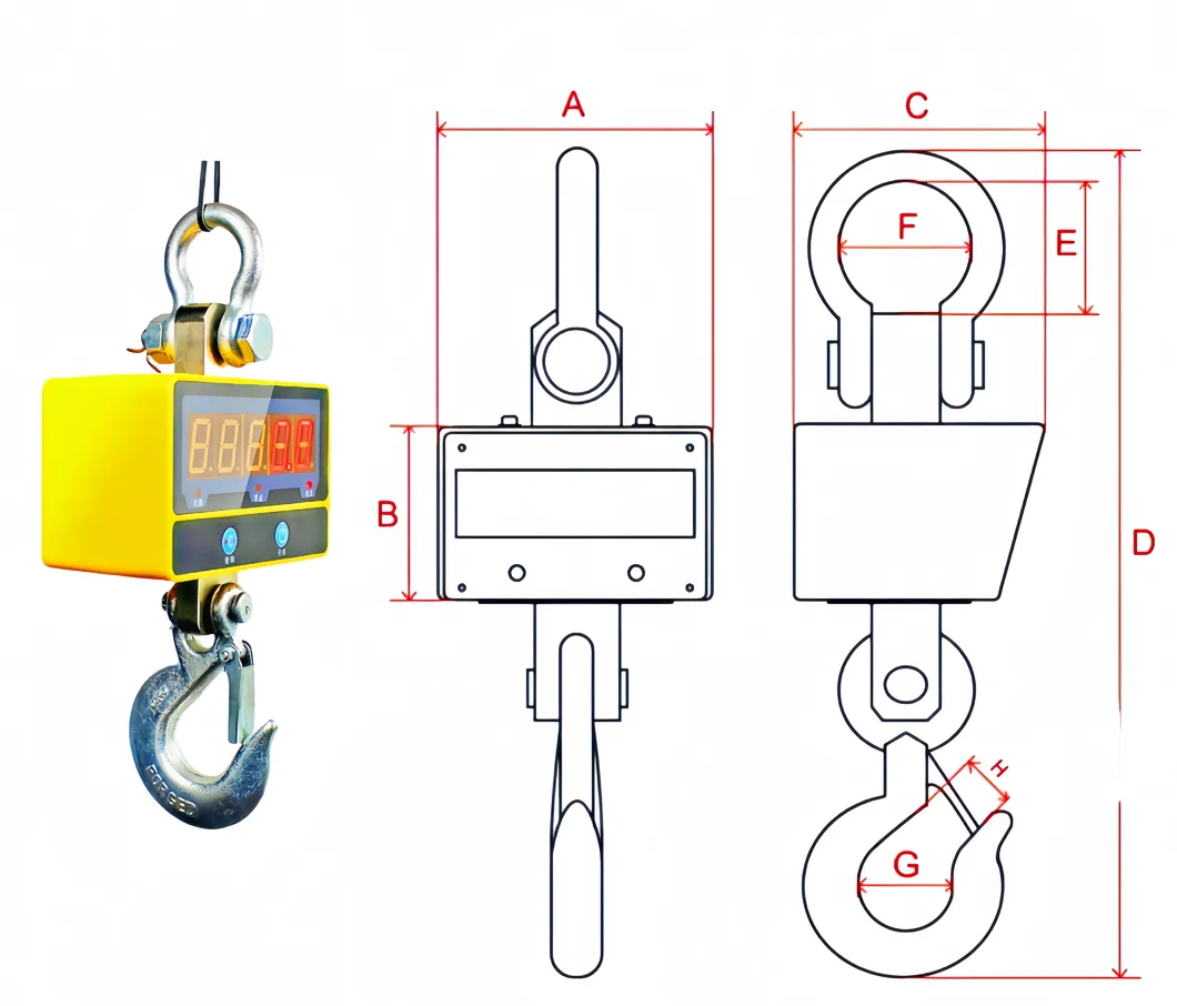 Crane Scale Detail 1