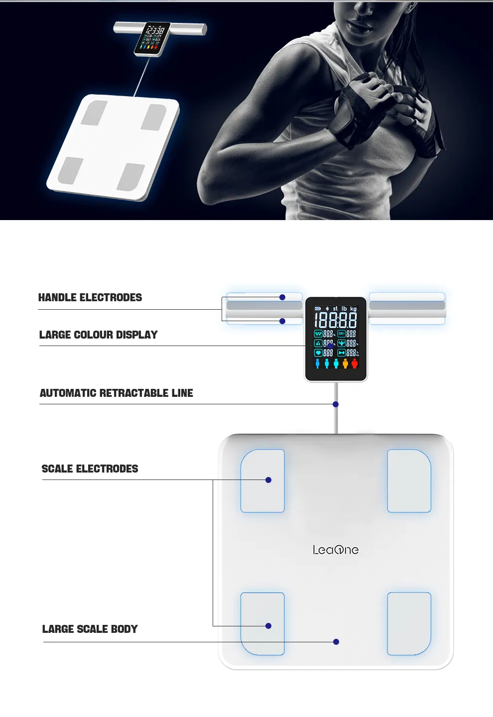 Professional Body Scale