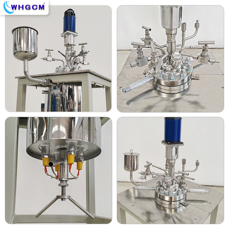 Customized 1L Stainless Steel Autoclave for High Pressure Lab Use