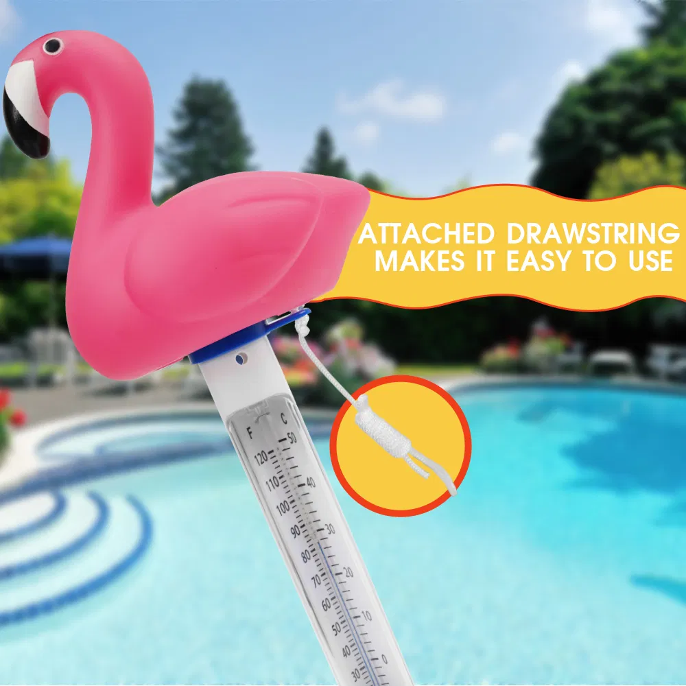 Pool Thermometer View 4