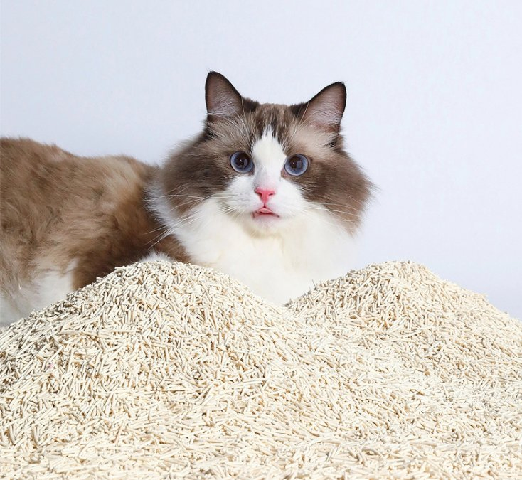 Recycled Paper Flushable Lightweight Eco Friendly Cat Litter Pet Product