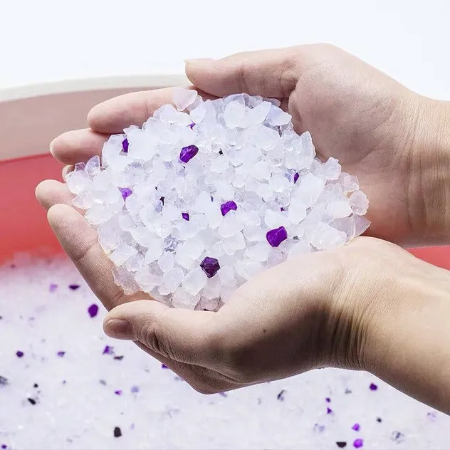 Cat Litter Variety 1