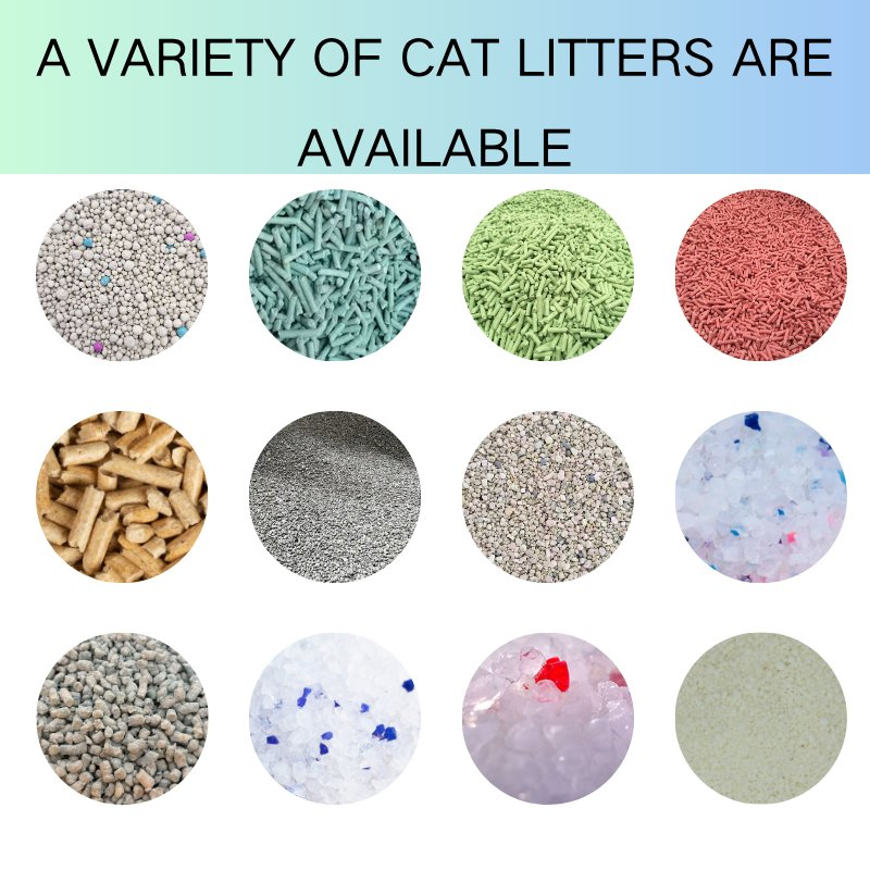 Wholesale Natural Premium Pine Wood Cat Litter Pellets Strong Odor Control Low Dust