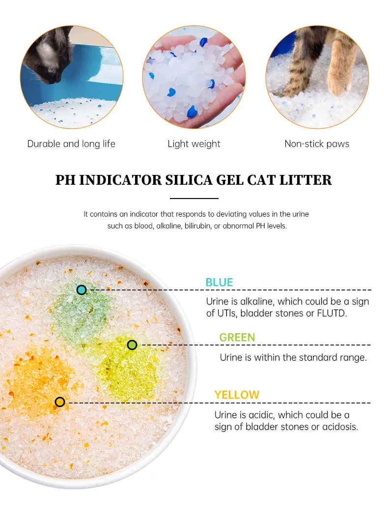 Cat Litter Display 3