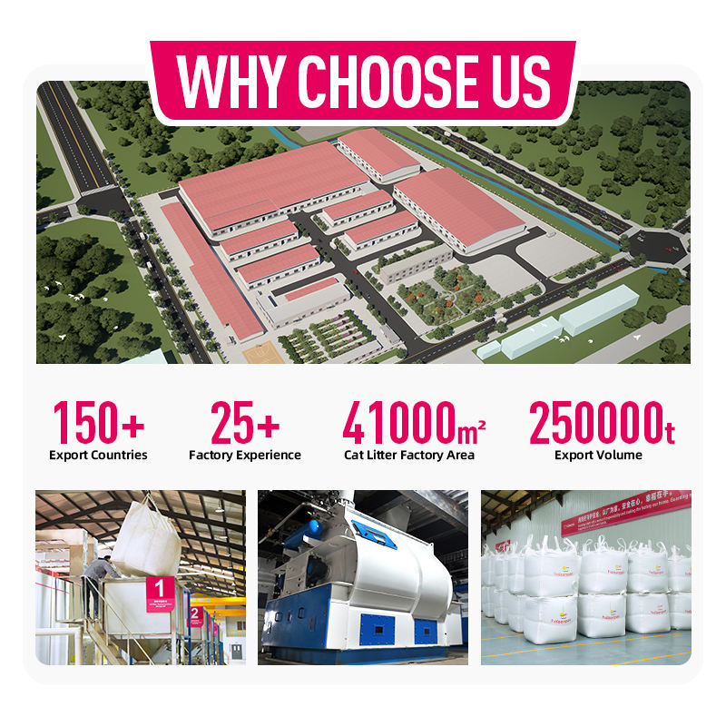 Factory Direct Sales Baby Powder Coffee Lemon Rose Lavender Scented Corn Cassava Cat Litter Arena Para Gatos