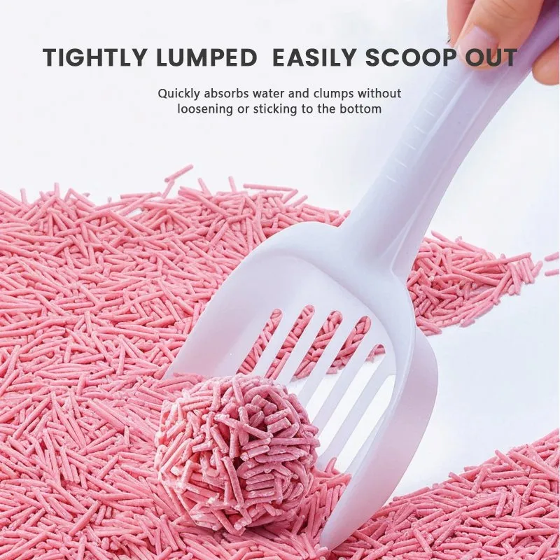 Cat Litter Product 5