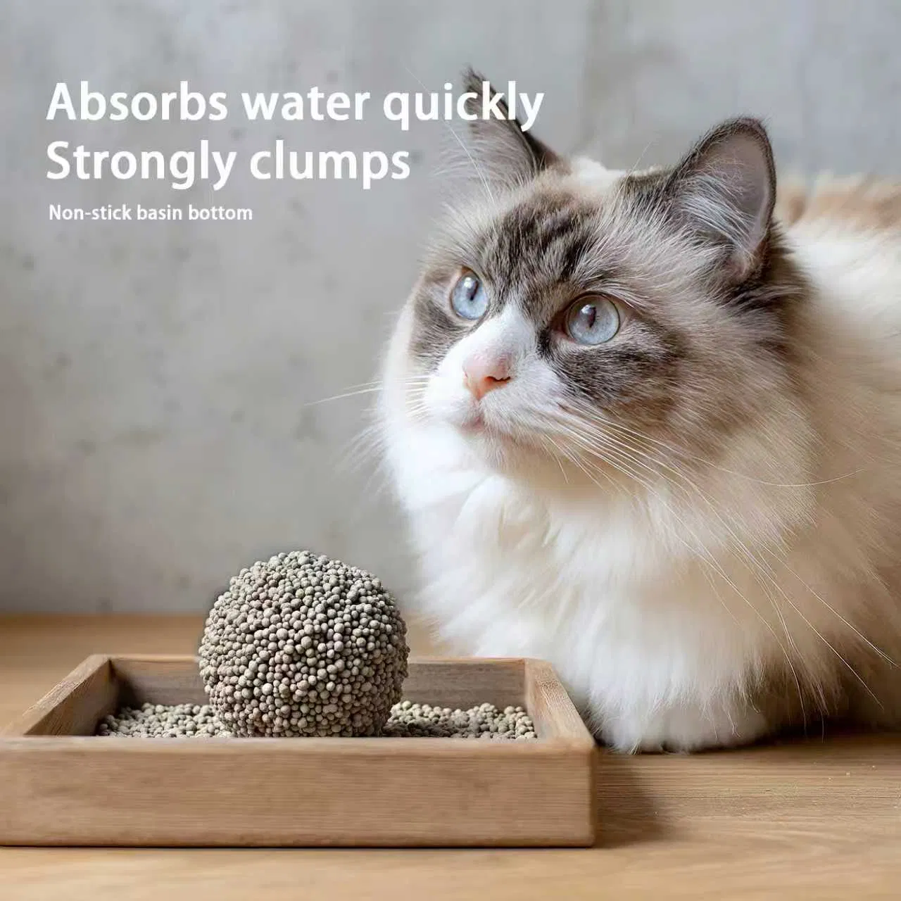 Natural Clay Bentonite Cat Litter OEM ODM Low Tracking Formula Fast Delivery Low Dust Custom Manufacturing