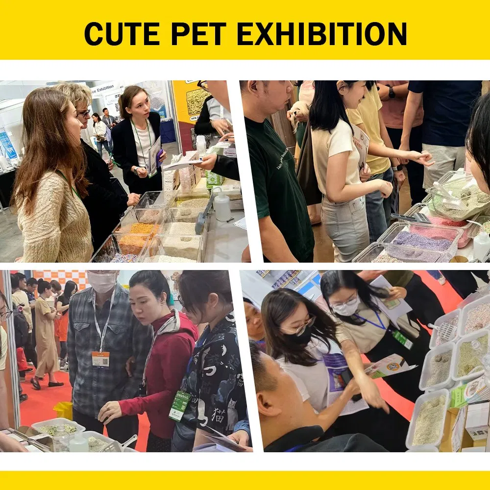 Bentonite Cat Litter OEM Supplier of High-Quality Dust-Free Easy Clean and Strong Clumping Sodium Clay Cat Sand Nala Arena Para Gatos