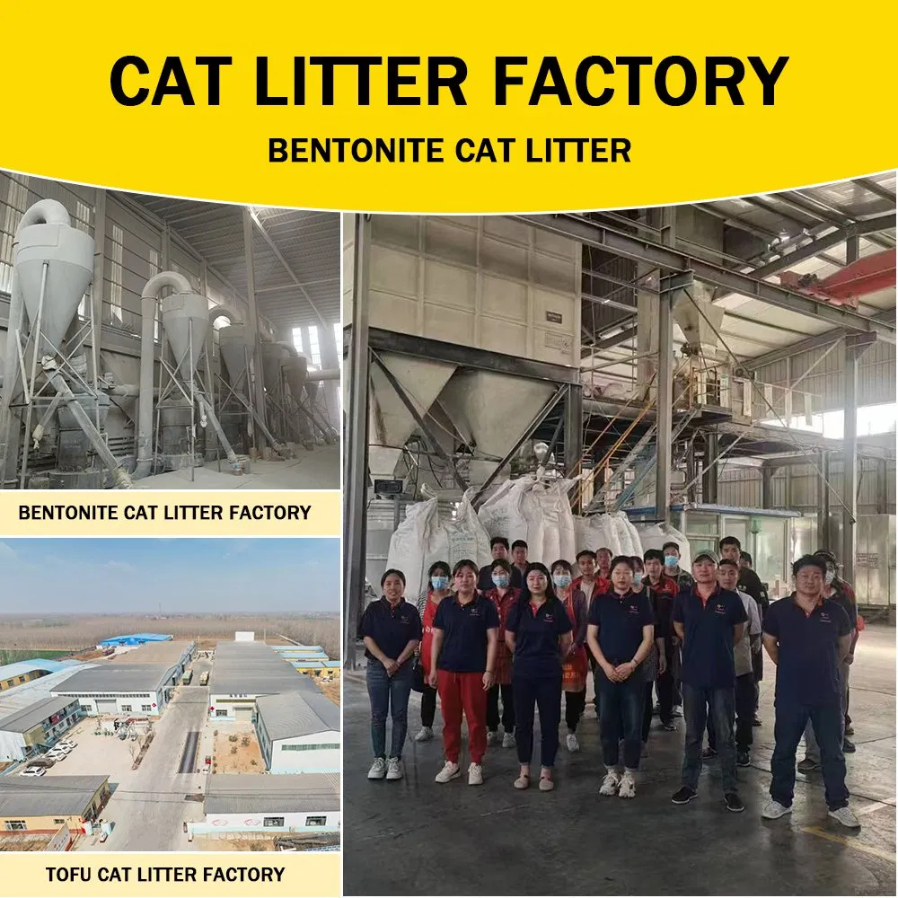 Pet Products Odorless Sustainable Kitty Litter Lightweight Cat Litter Sands Fast Clumping Pet Grooming OEM Scent 1-3.8mm White Bentonite Cat Litter