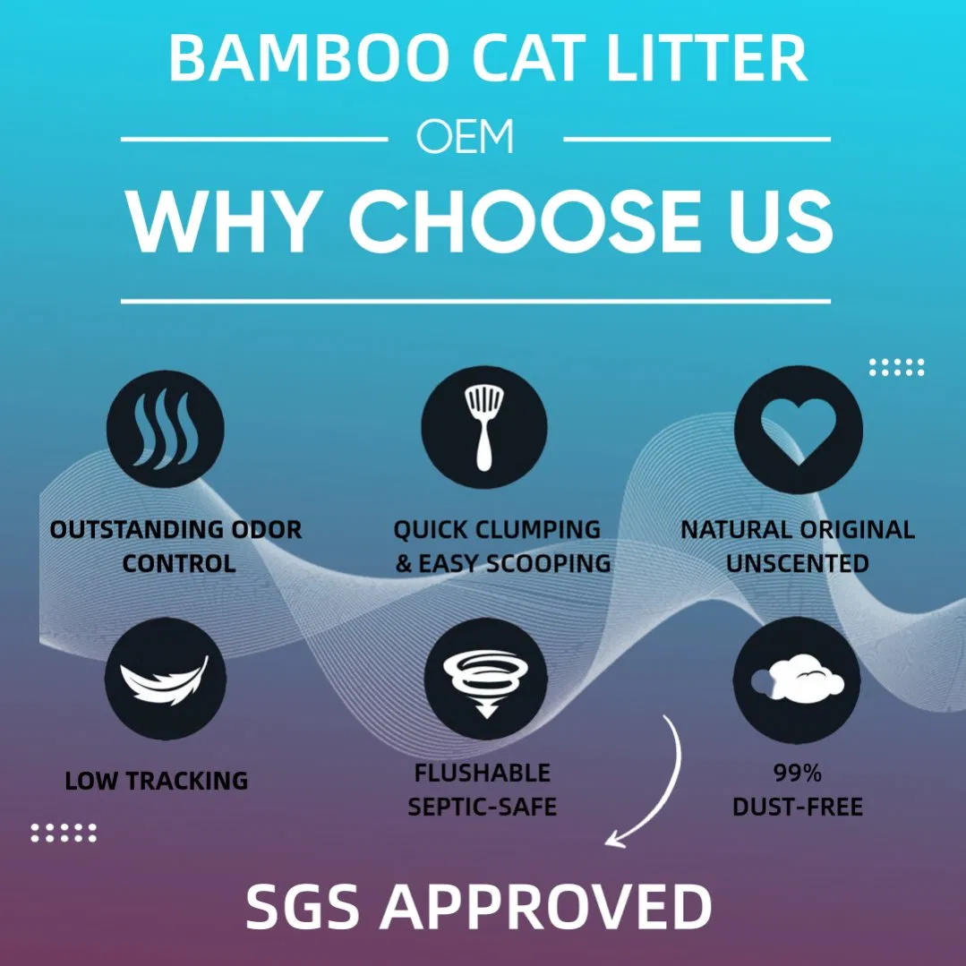 Premium Eco-Friendly Cat Litter in 2.5kg Kraft Paper Bag