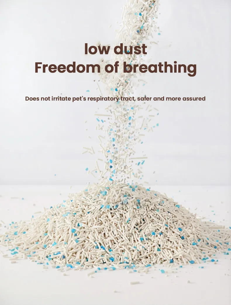 Cat Litter Display 3