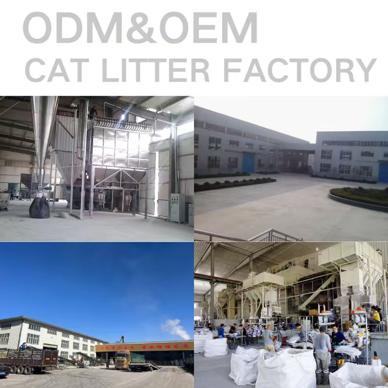 Wholesale Natural Premium Pine Wood Cat Litter Pellets Strong Odor Control Low Dust