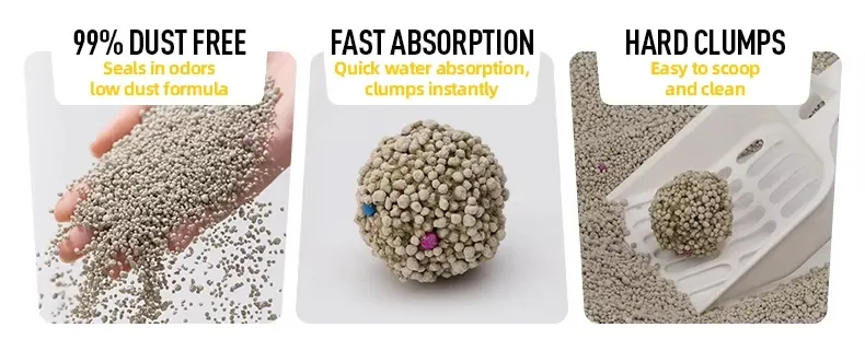 Cat Litter Details 1