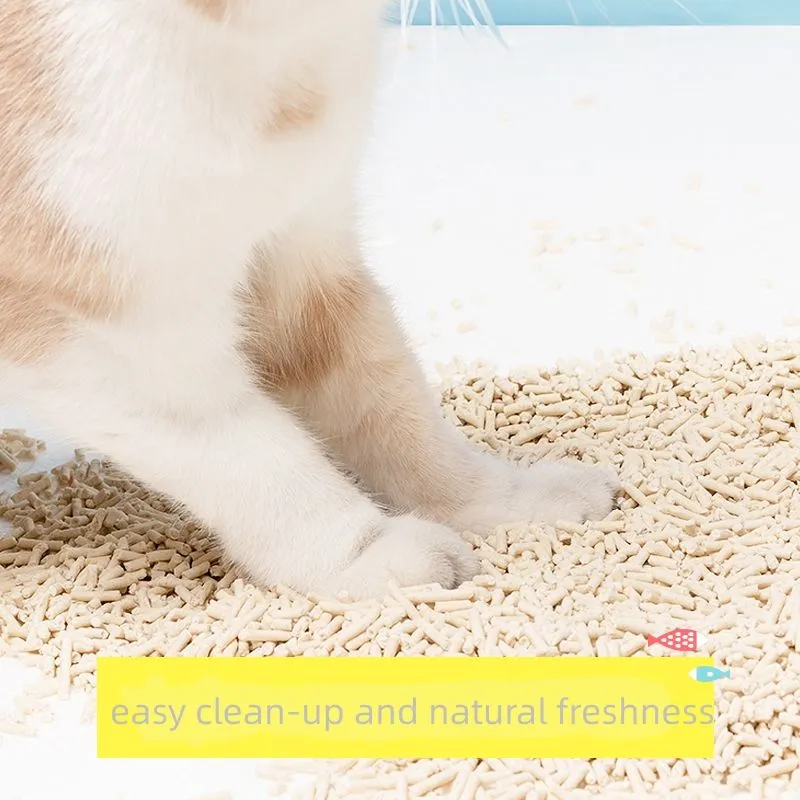 Cat Litter Photo 3