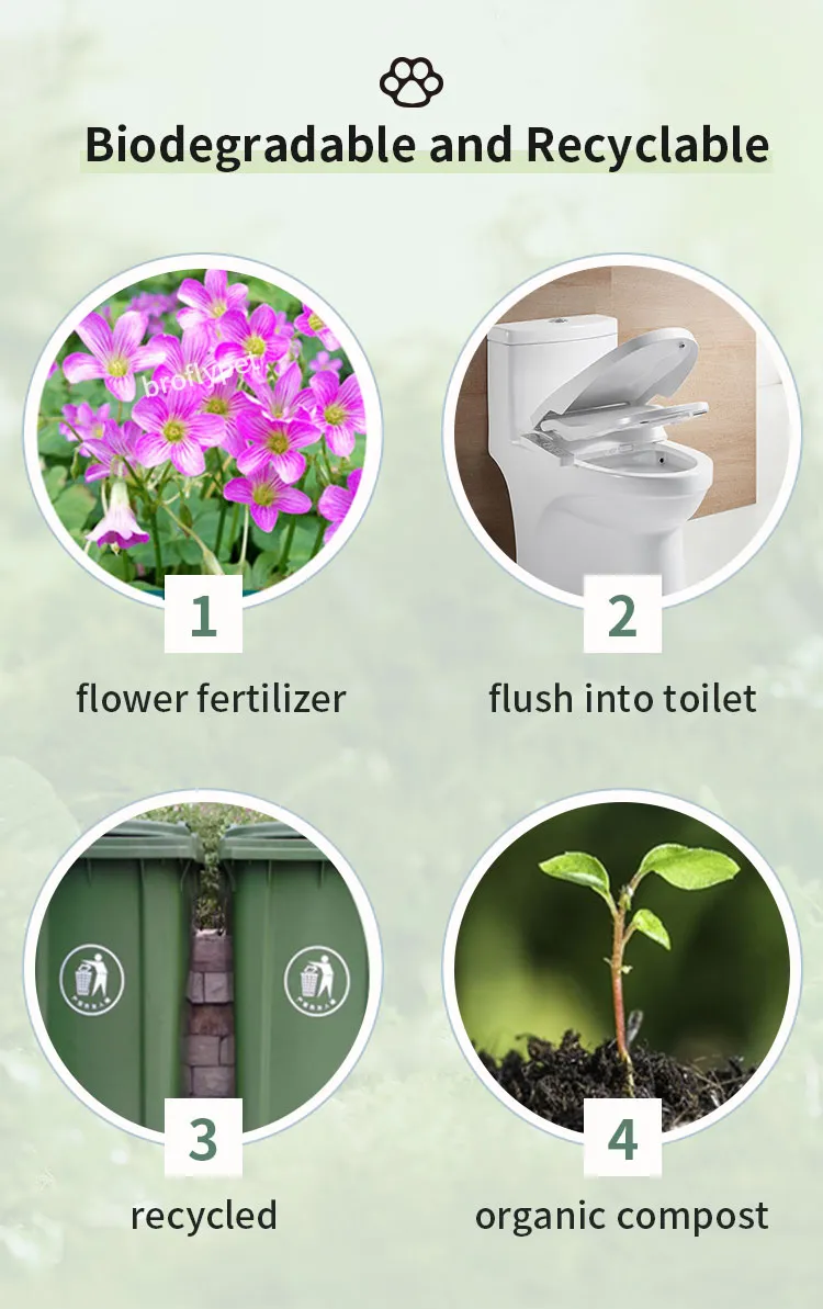 Quality Control Process