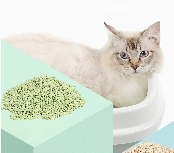 Bentonite Clay Clumping Hard Fast Dust Free Cat Litter Pet Product